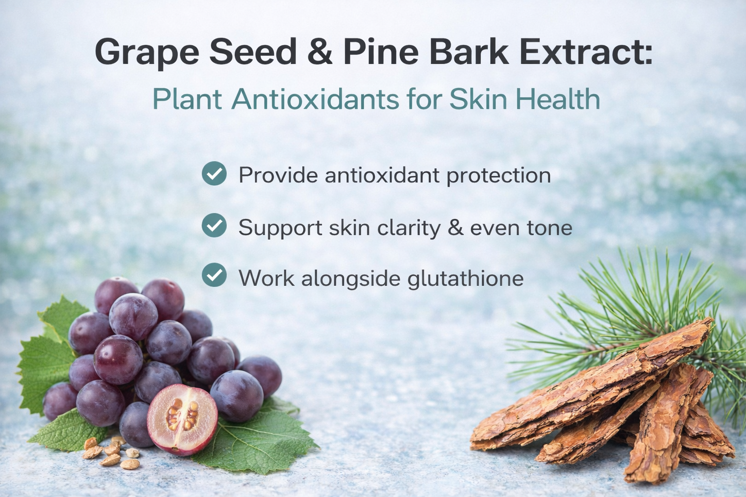Grape Seed & Pine Bark Extract: Plant Antioxidants for Skin Health