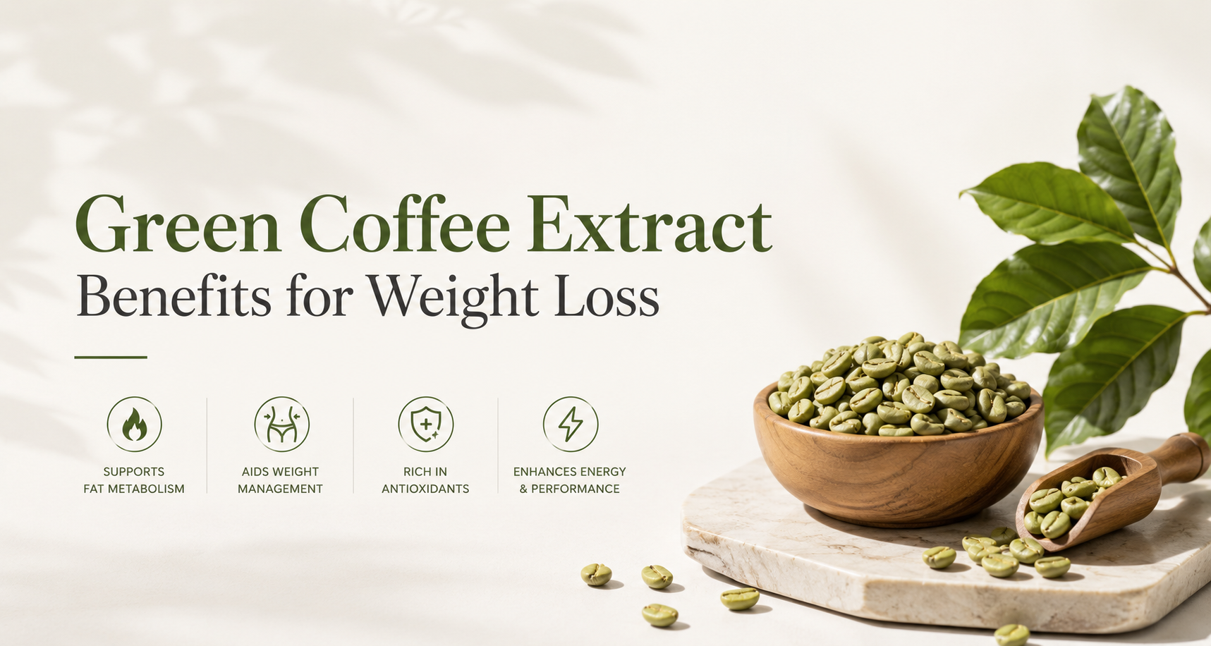 Green Coffee Extract Benefits for Weight Loss