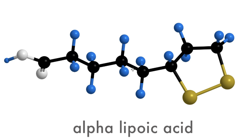 Alpha Lipoic Acid (ALA): Benefits for Skin & Antioxidant Support