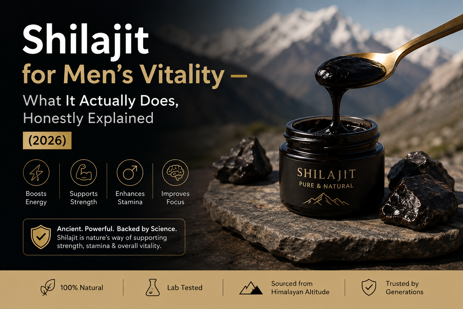 Shilajit for Men's Vitality