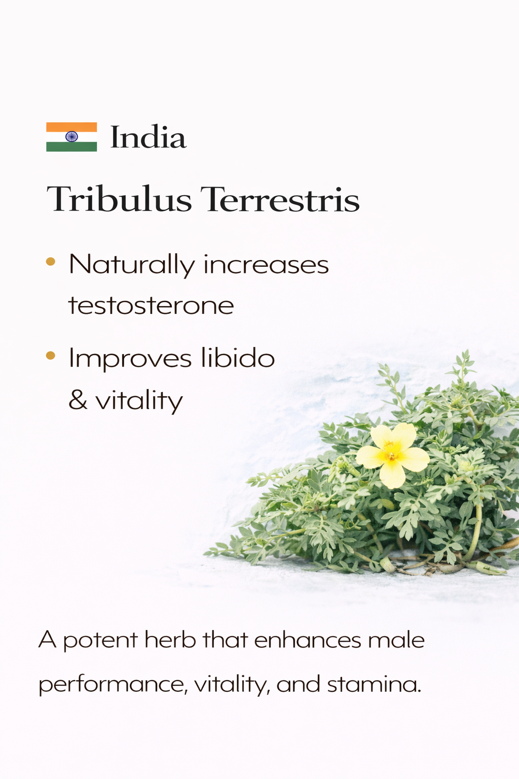 Natural And Traceable Ingredients